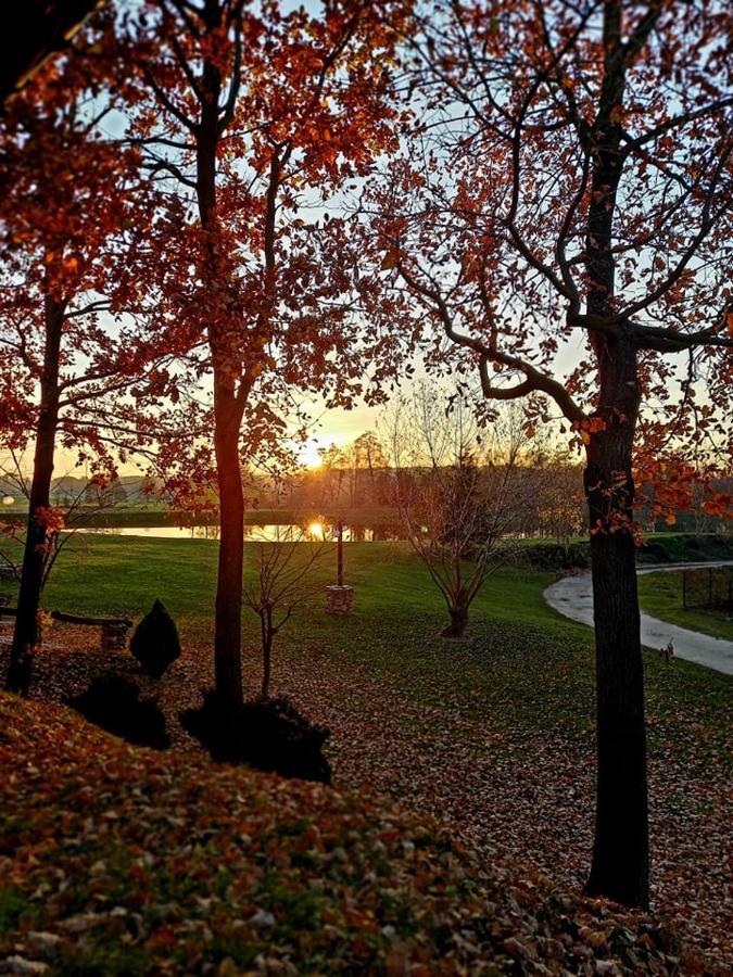 Hotel Tawerna-Stawiska Garbatka-Letnisko Exteriér fotografie